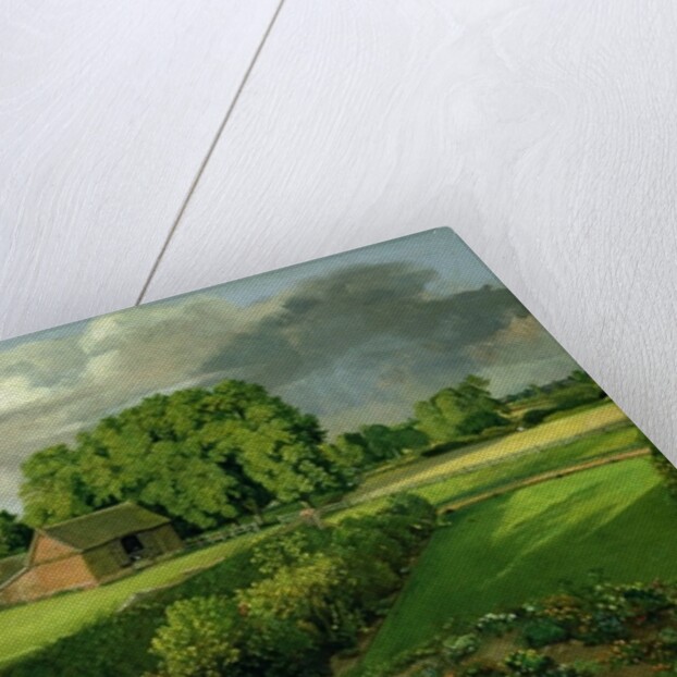 Golding Constable's Flower Garden, 1815 by John Constable