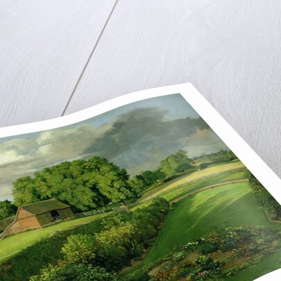 Golding Constable's Flower Garden, 1815 by John Constable