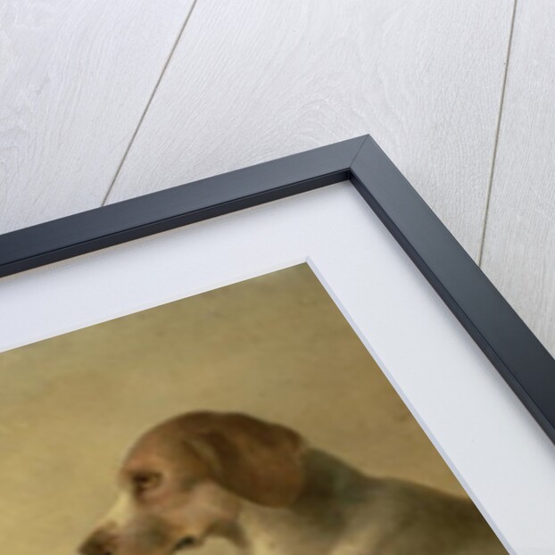 Hounds by Edward Robert Smythe