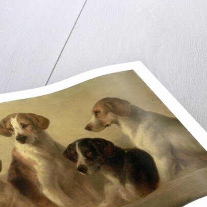 Hounds by Edward Robert Smythe