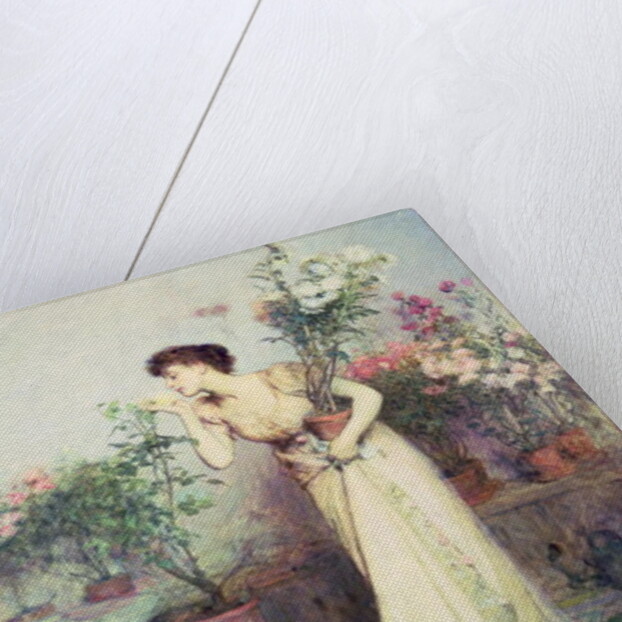 In the Conservatory, 1894 by William Quiller Orchardson