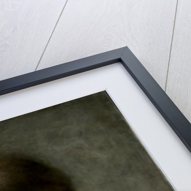 Girl with a Silver Fish, 1889 by William Robert Symonds