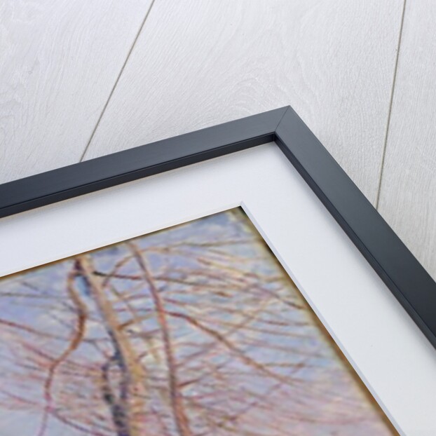 The Banks of the River at Veneux, 1881 by Alfred Sisley