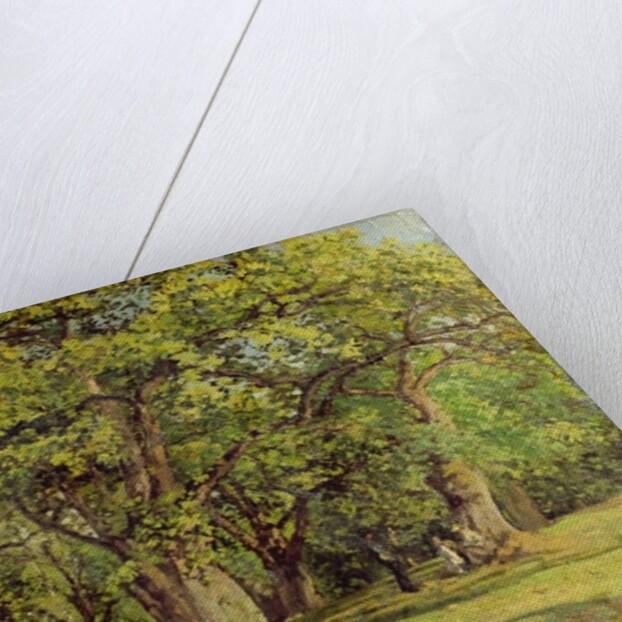 The Forest, 1870 by Camille Pissarro