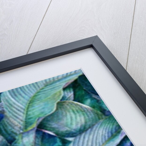 Portrait of Ranchero's Sister-in-law, 1988 by James Reeve