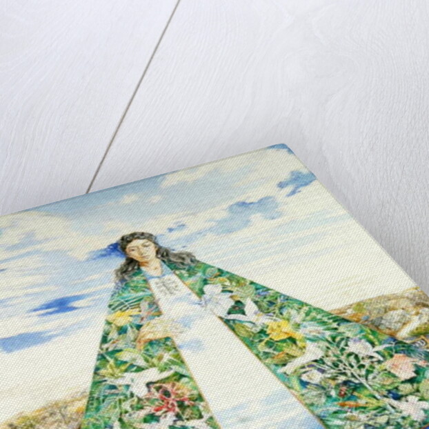 The Virgin of the Huasteca, 1988 by James Reeve