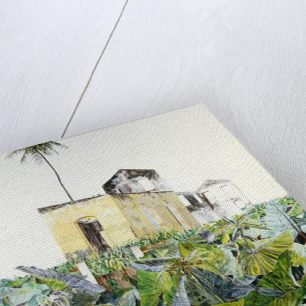 Ruin in a Swamp, Haiti, 1971 by James Reeve