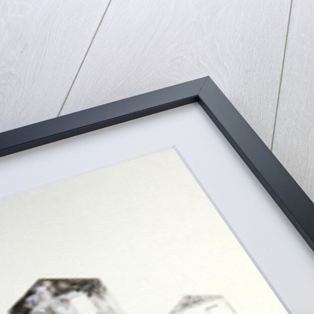 Ruin in a Swamp, Haiti, 1971 by James Reeve