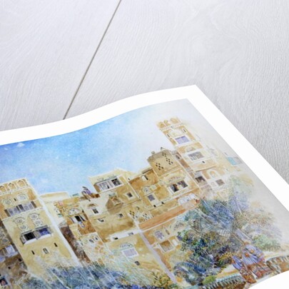 Kitchen Garden, Sana'a, North Yemen, 1975 by James Reeve