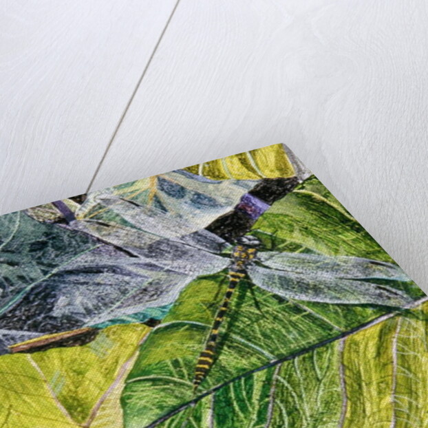 Water Snake and Dragon-fly, 1971 by James Reeve