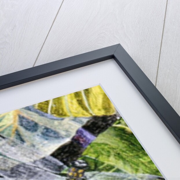 Water Snake and Dragon-fly, 1971 by James Reeve