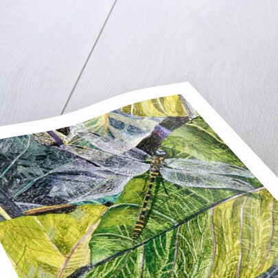 Water Snake and Dragon-fly, 1971 by James Reeve