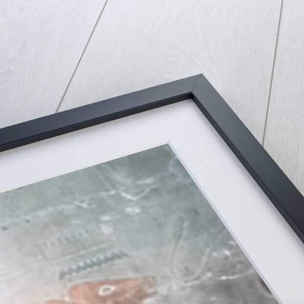 Cattle fording a canal in the Mastaba Chapel of Ti, Old Kingdom by Egyptian 5th Dynasty