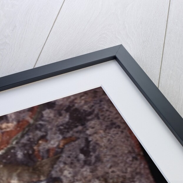 The Ascension, Pantanassa church by School Greek