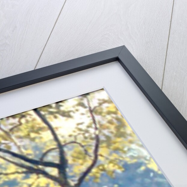 Boat Pond, Central Park by Julian Barrow