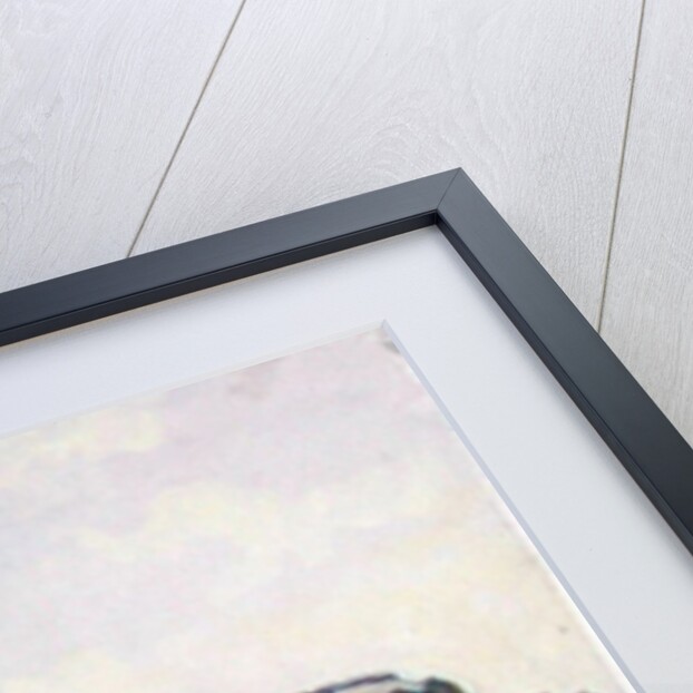 Trafalgar Square, London by Julian Barrow