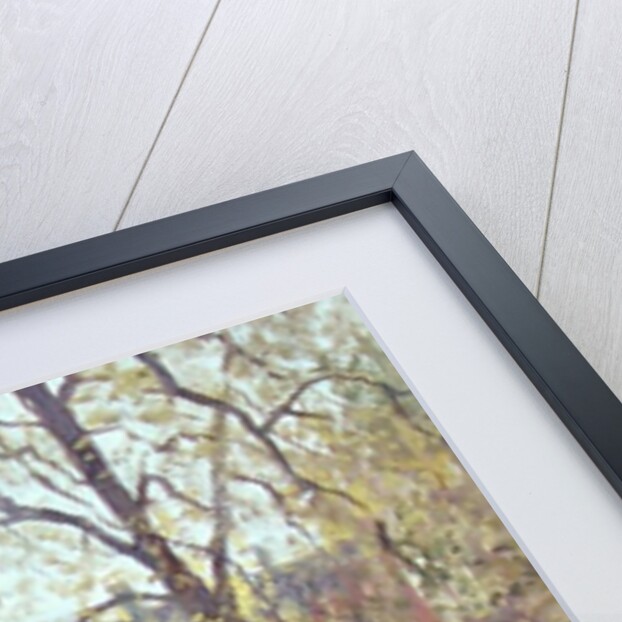 Mount Street Gardens by Julian Barrow