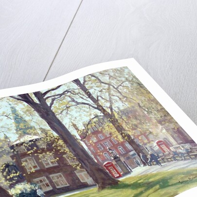 Mount Street Gardens by Julian Barrow