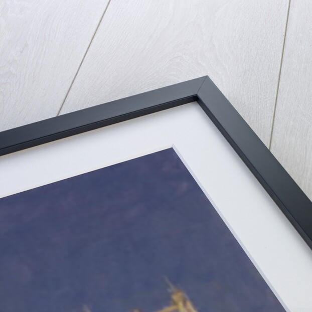 Albert Bridge - Night by Julian Barrow