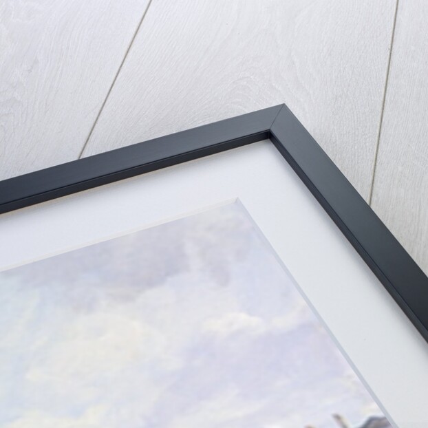 Horseguards by Julian Barrow