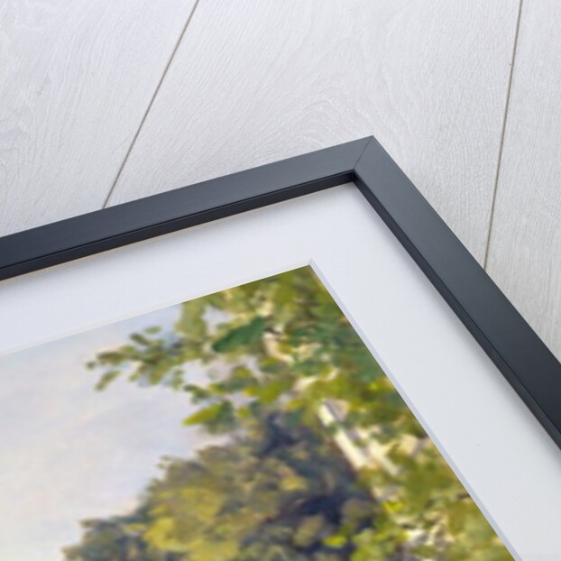 Regent's Park Canal by Julian Barrow