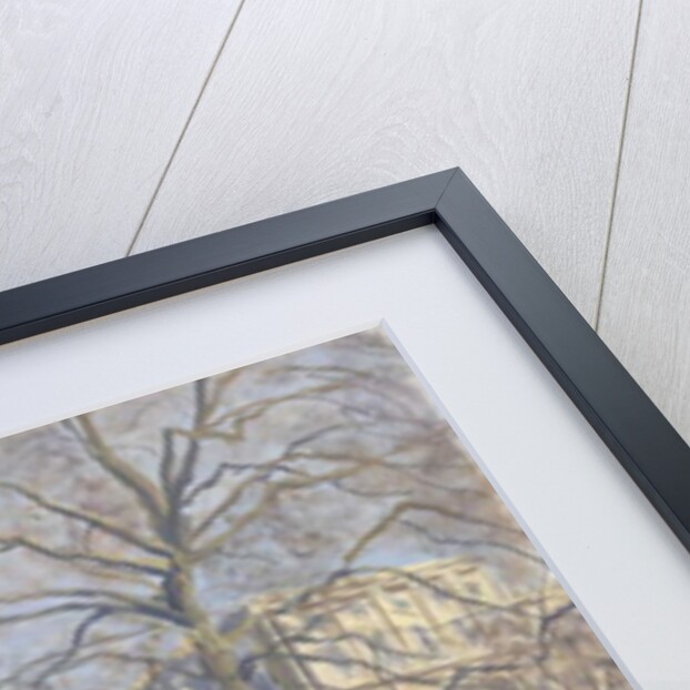 Spring Morning, The Mall, 2010 by Julian Barrow