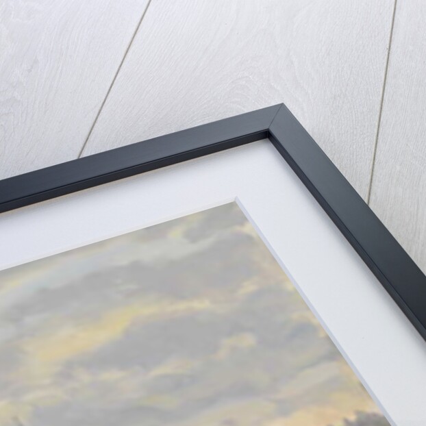 Houses of Parliament, 2010 by Julian Barrow