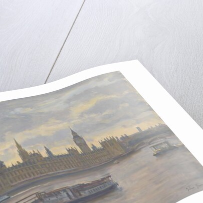 Houses of Parliament, 2010 by Julian Barrow