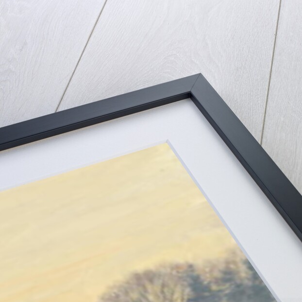 Belvedere castle, Central Park, 2010 by Julian Barrow