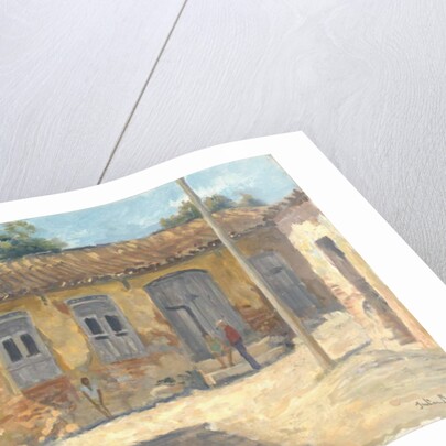 Trinidad, Cuba, 2010 by Julian Barrow