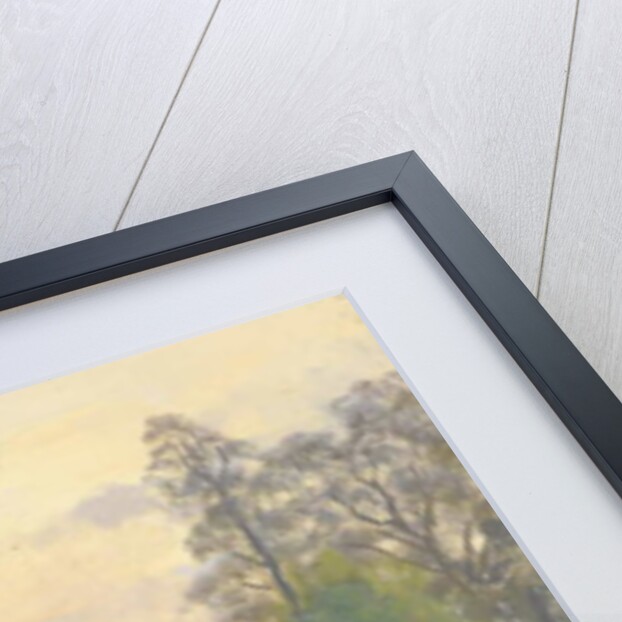 St James' Park, 2010 by Julian Barrow