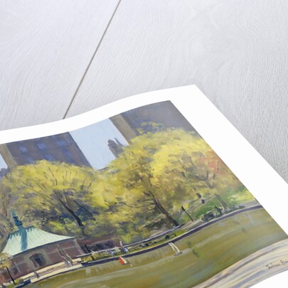 The Boating Lake, Central Park, New York, 1997 by Julian Barrow