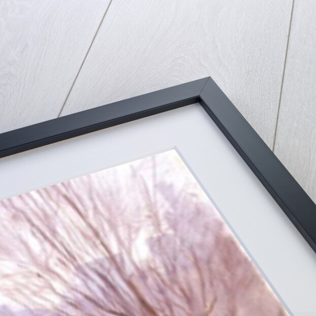 The Alice in Wonderland Statue, Central Park, New York, 1997 by Julian Barrow