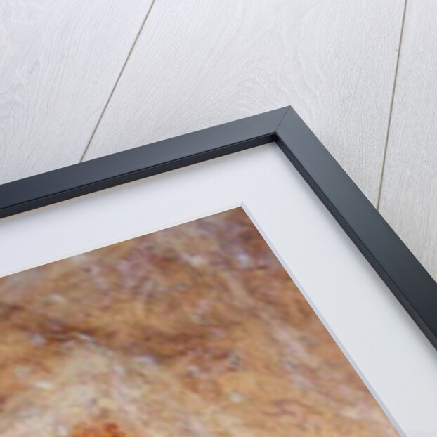 The Cloud Damsels by Sri Lankan School