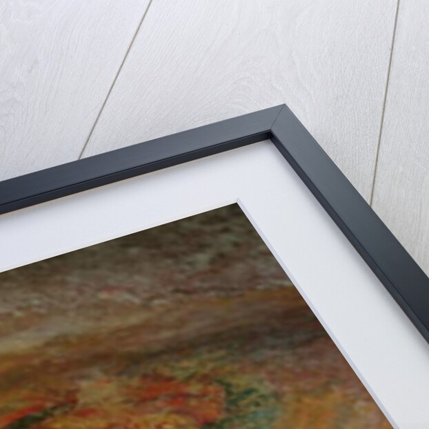 The Cloud Damsels by Sri Lankan School