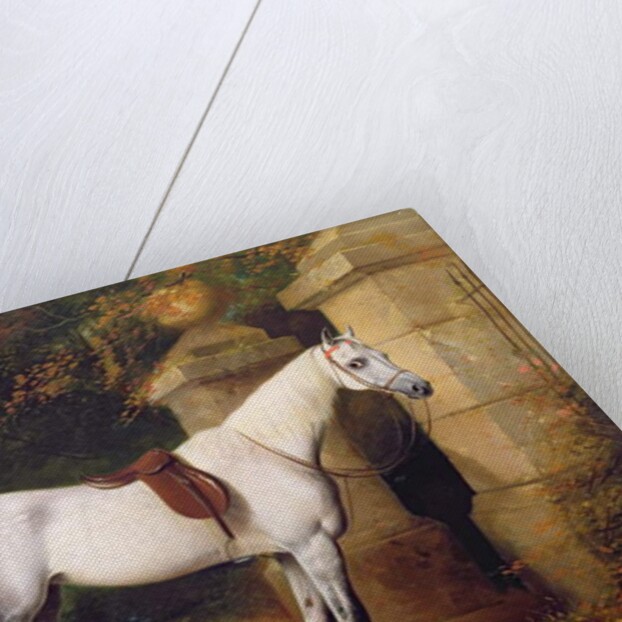 A Grey Horse by Park Gates, 1851 by Henry Barraud