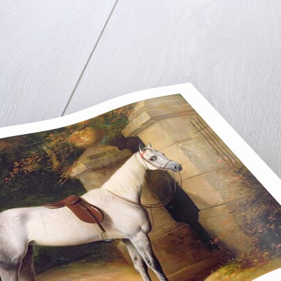 A Grey Horse by Park Gates, 1851 by Henry Barraud