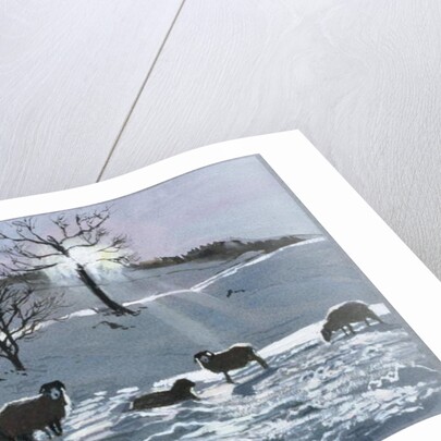 Winter Afternoon at Dentdale, 1991 by John Cooke