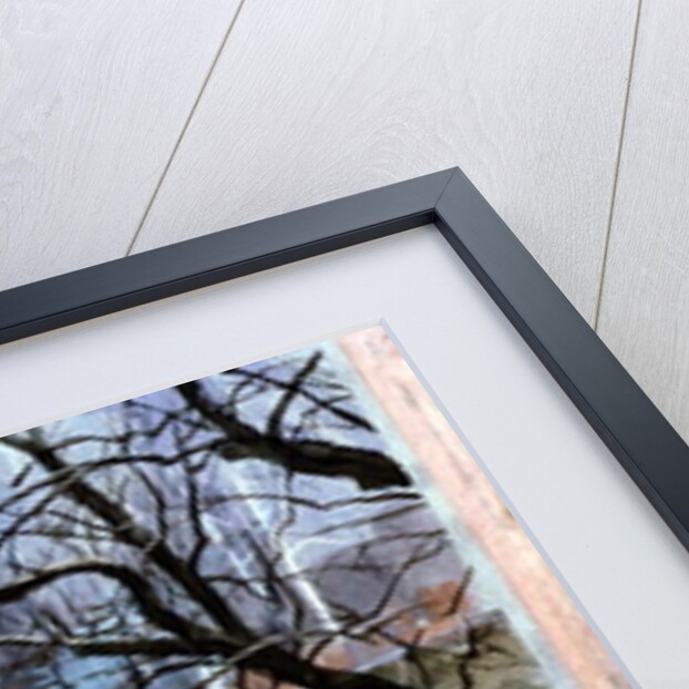 Lakeland Bonfire, 1996 by John Cooke