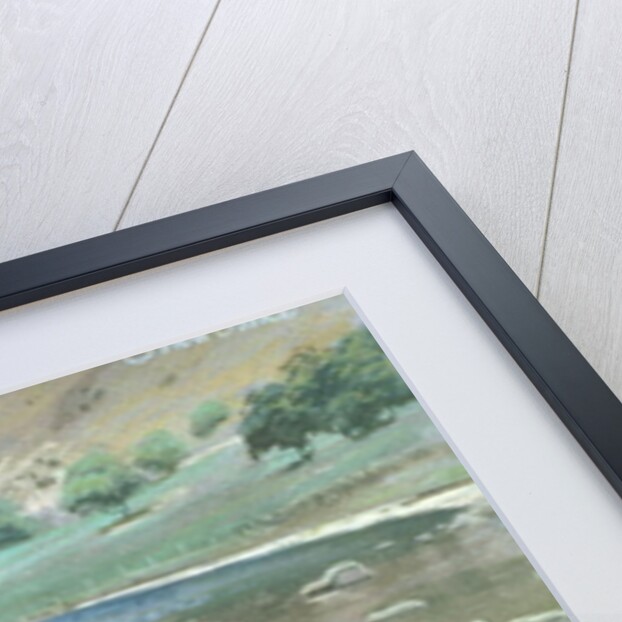 Blea Tarn Summer, 1987 by John Cooke