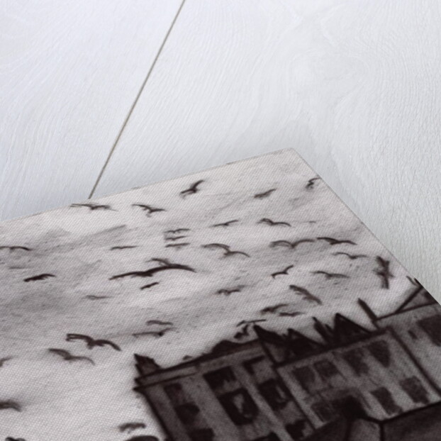 Tenby, 1994 by Jacob Sutton