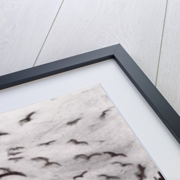 Tenby, 1994 by Jacob Sutton