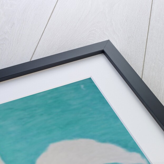 Let's go for a Walk, 2000 by Jacob Sutton