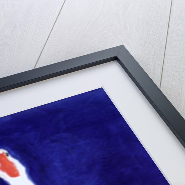 Coedwynog Goose, 2000 by Jacob Sutton