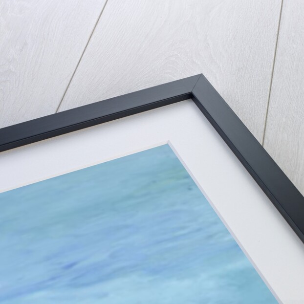 Wait for me! Coedwynog, West Wales, 2000 by Jacob Sutton