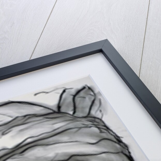 Durabali, 18 years Young, Bamyan, Afghanistan, 2002 by Jacob Sutton