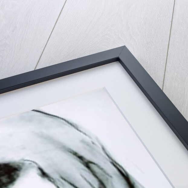 Rachsar, Kabul, Afghanistan, 2002 by Jacob Sutton