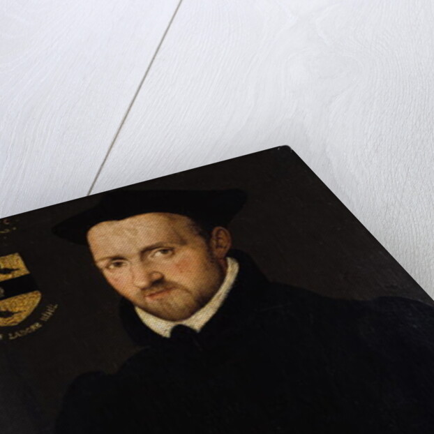 Portrait of Ralph Lumley, 1583 by Richard Stevens