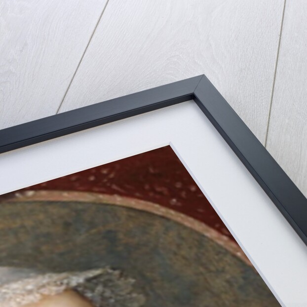 Portrait of a Lady, c.1620 by Cornelius Janssen van Ceulen