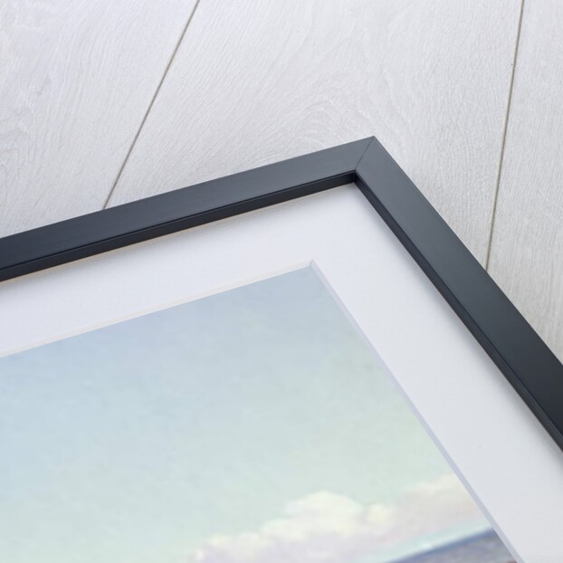 Florence, Arthur and Charles Moore on a sea-shore, 1868 by William Crosby